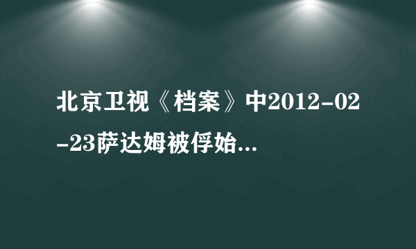 北京卫视《档案》中2012-02-23萨达姆被俘始末的那个讲员主持人叫什么。。。他是谁？