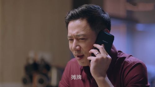 在电视剧《突围》中，皮丹是一个什么样的人物？