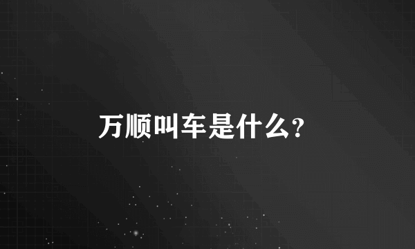 万顺叫车是什么？