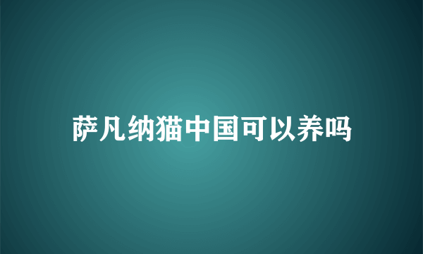 萨凡纳猫中国可以养吗