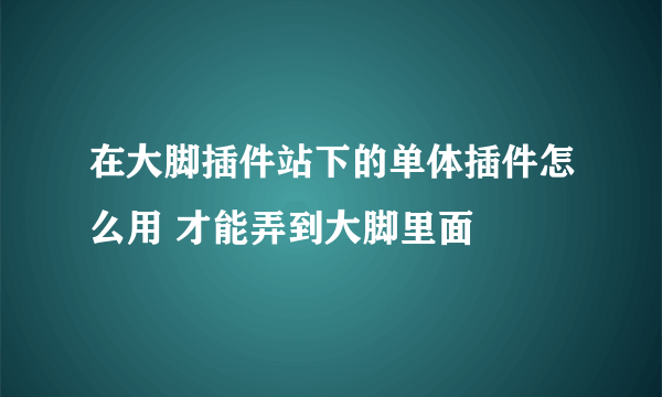 在大脚插件站下的单体插件怎么用 才能弄到大脚里面