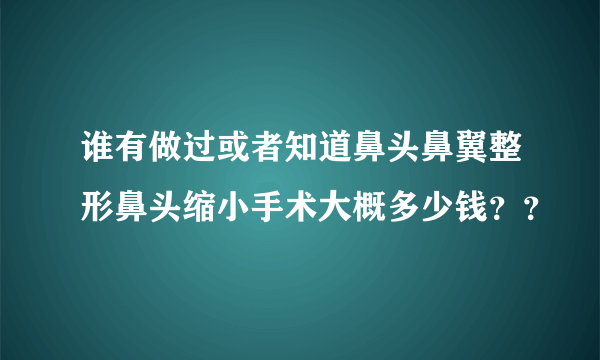 谁有做过或者知道鼻头鼻翼整形鼻头缩小手术大概多少钱？？