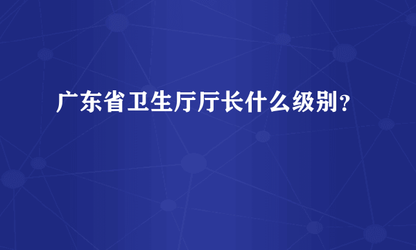 广东省卫生厅厅长什么级别？