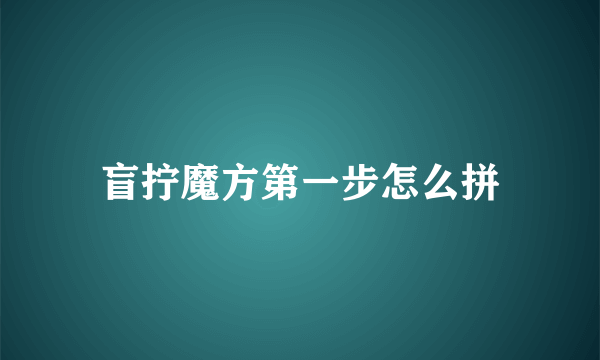 盲拧魔方第一步怎么拼