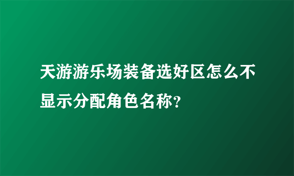 天游游乐场装备选好区怎么不显示分配角色名称？