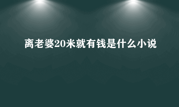 离老婆20米就有钱是什么小说