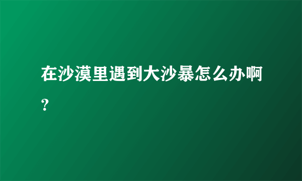 在沙漠里遇到大沙暴怎么办啊？