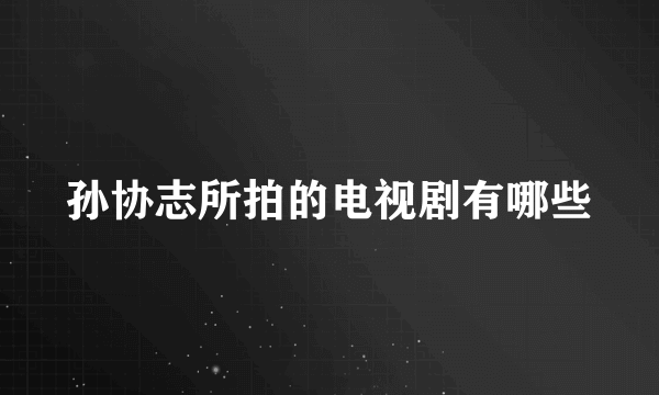 孙协志所拍的电视剧有哪些