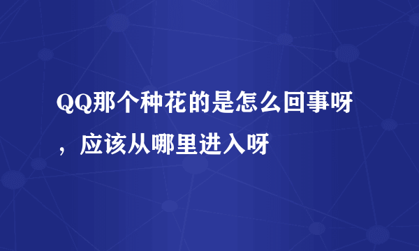 QQ那个种花的是怎么回事呀，应该从哪里进入呀