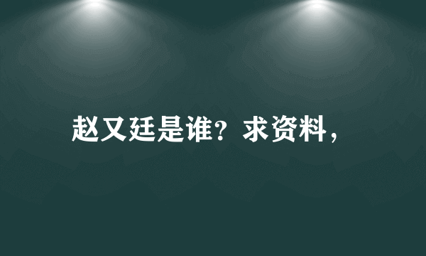 赵又廷是谁？求资料，