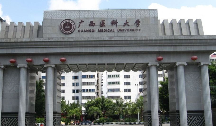 广西省有什么大学