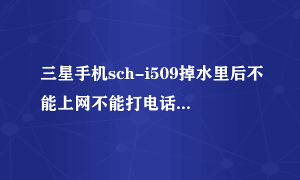 三星手机sch-i509掉水里后不能上网不能打电话怎么回事啊