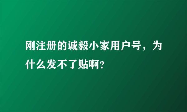 刚注册的诚毅小家用户号，为什么发不了贴啊？