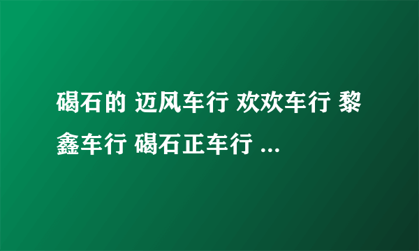 碣石的 迈风车行 欢欢车行 黎鑫车行 碣石正车行 鱼翅车行等等 哪个值得信任啊？