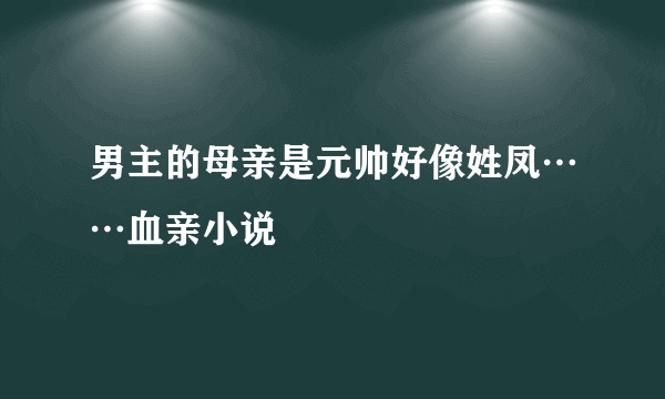 男主的母亲是元帅好像姓凤……血亲小说