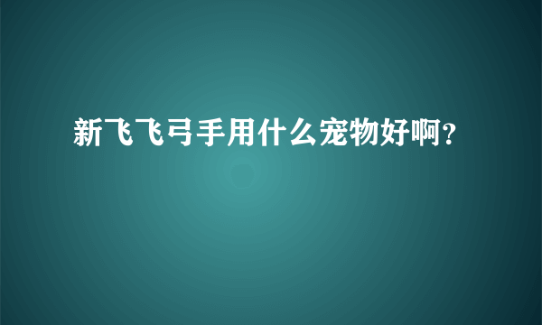 新飞飞弓手用什么宠物好啊？