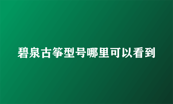 碧泉古筝型号哪里可以看到