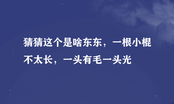 猜猜这个是啥东东，一根小棍不太长，一头有毛一头光