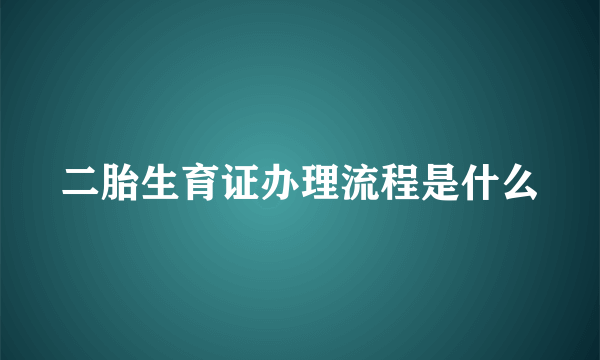 二胎生育证办理流程是什么