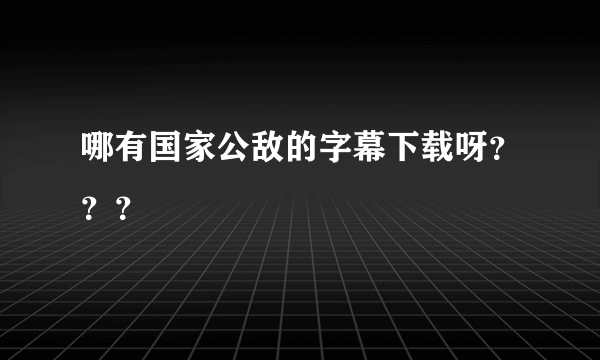 哪有国家公敌的字幕下载呀？？？