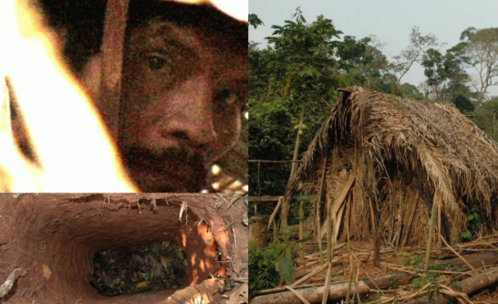 “世上最孤独的人”死了，在族人尽遭杀戮后，他为何能在雨林独活26年？