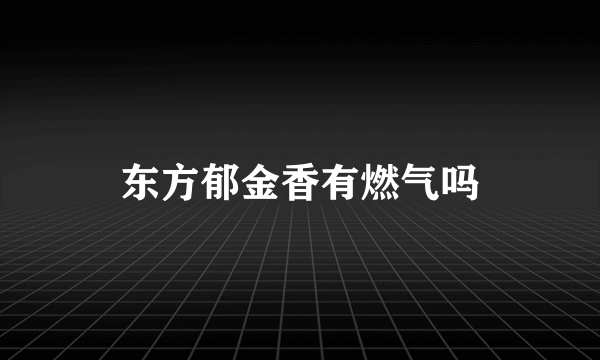 东方郁金香有燃气吗