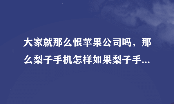 大家就那么恨苹果公司吗，那么梨子手机怎样如果梨子手机这款山寨机，能加已改造通过渠道认证做成正品行货