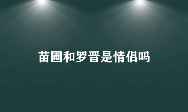 苗圃和罗晋是情侣吗