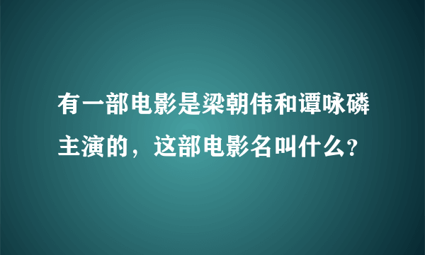 有一部电影是梁朝伟和谭咏磷主演的，这部电影名叫什么？