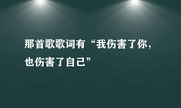 那首歌歌词有“我伤害了你，也伤害了自己”