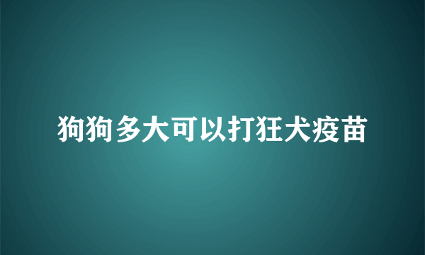 狗狗多大可以打狂犬疫苗