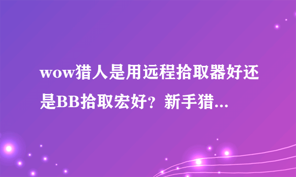 wow猎人是用远程拾取器好还是BB拾取宏好？新手猎人求详细说明一下~