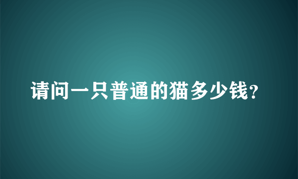 请问一只普通的猫多少钱？