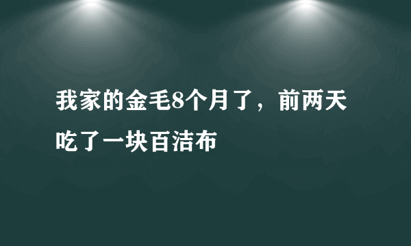 我家的金毛8个月了，前两天吃了一块百洁布