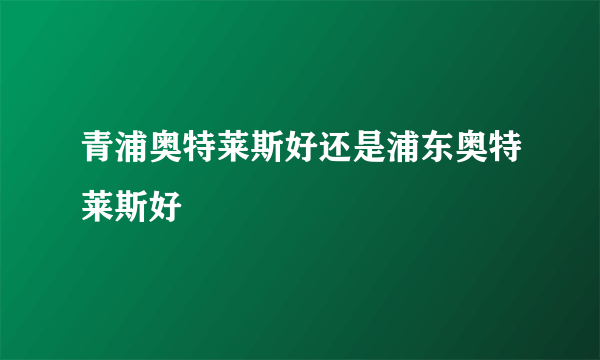 青浦奥特莱斯好还是浦东奥特莱斯好