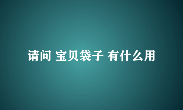 请问 宝贝袋子 有什么用