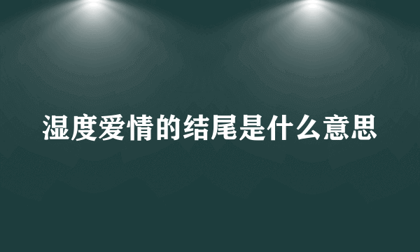 湿度爱情的结尾是什么意思