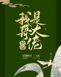 《我哥是大佬》txt下载在线阅读全文，求百度网盘云资源