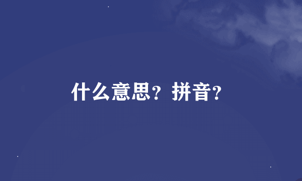 什么意思？拼音？