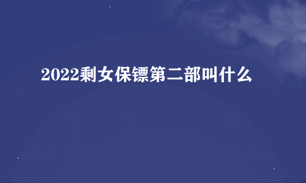 2022剩女保镖第二部叫什么