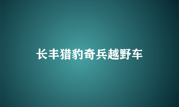 长丰猎豹奇兵越野车