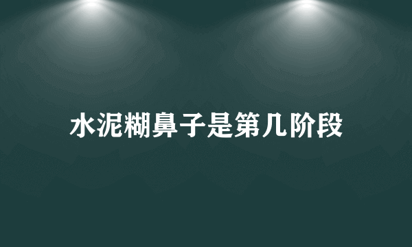 水泥糊鼻子是第几阶段