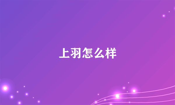 上羽怎么样