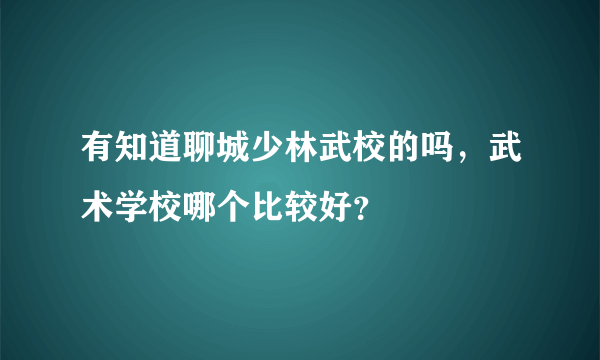 有知道聊城少林武校的吗，武术学校哪个比较好？