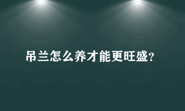 吊兰怎么养才能更旺盛？