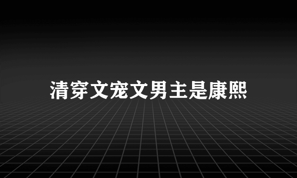 清穿文宠文男主是康熙