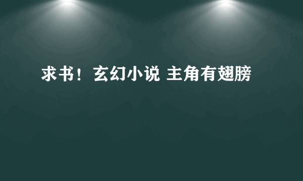 求书！玄幻小说 主角有翅膀