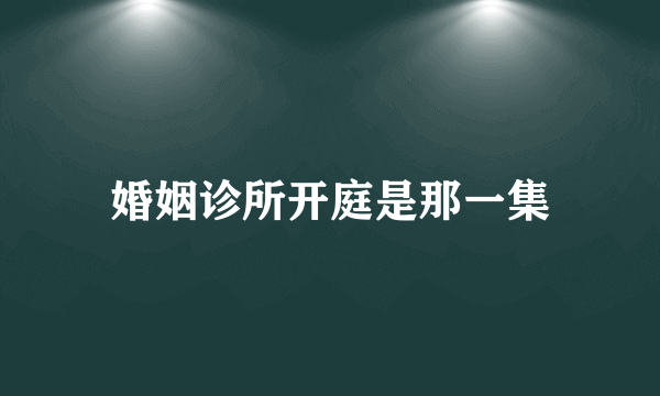 婚姻诊所开庭是那一集