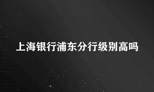 上海银行浦东分行级别高吗