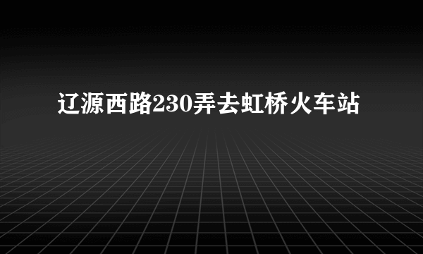 辽源西路230弄去虹桥火车站